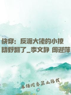 快穿：反派大佬的小撩精野翻了